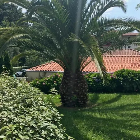 Apartmán Bel Renove Avec Terrasse Et Parking A St Jean De Luz - Fr-1-4-499